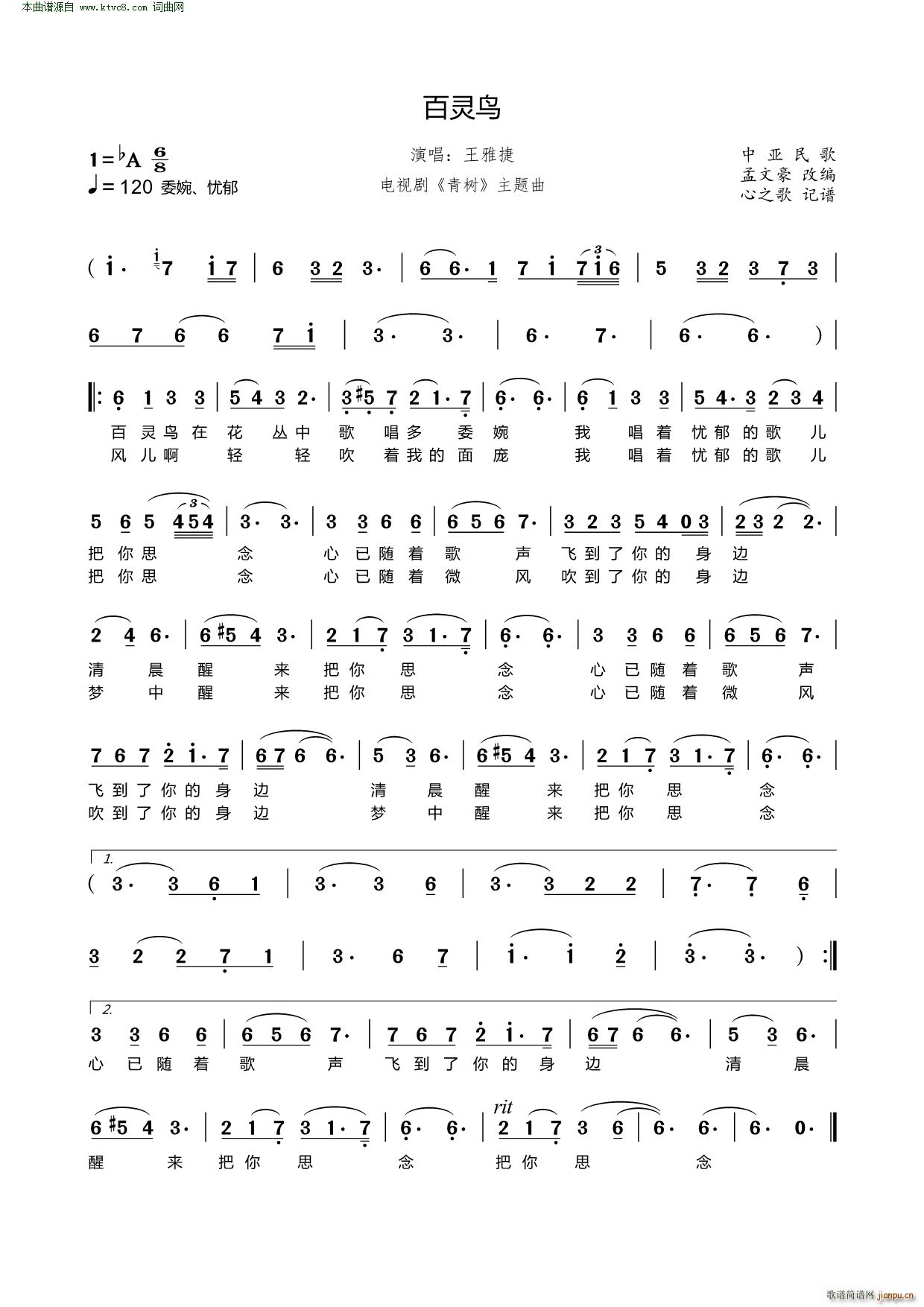 百灵鸟 电视剧 青树 主题歌(十字及以上)1