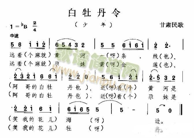 白牡丹令(四字歌谱)1