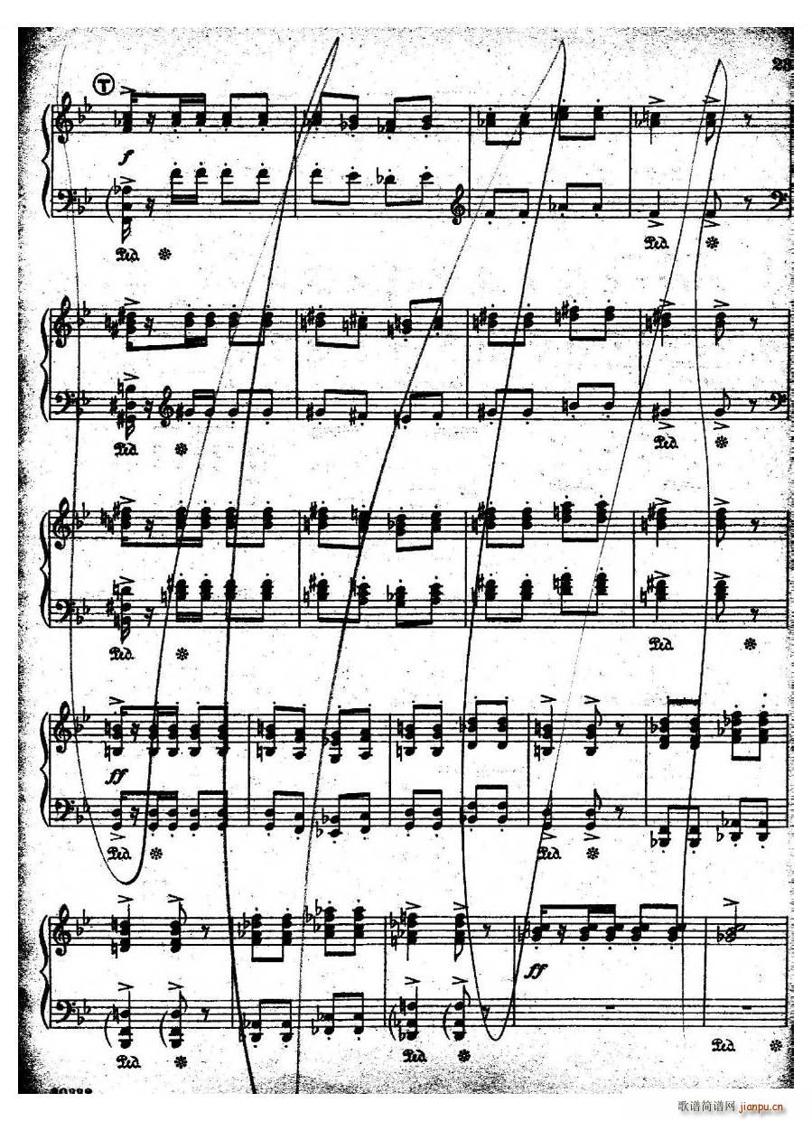 Coates Cinderella 3 Cinderella 3(十字及以上)5