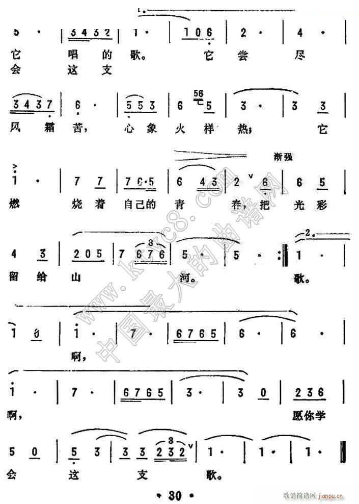 愿你学会这支歌 电影 拼搏 插曲 2(十字及以上)1