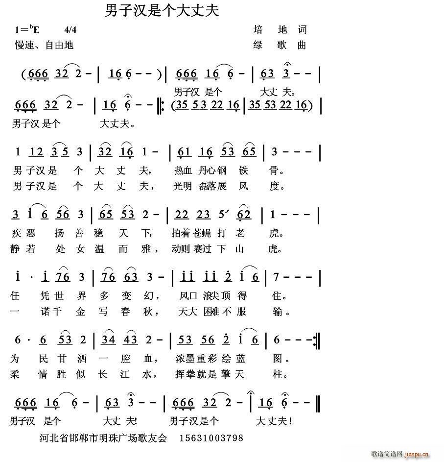 男子汉是个大丈夫(八字歌谱)1