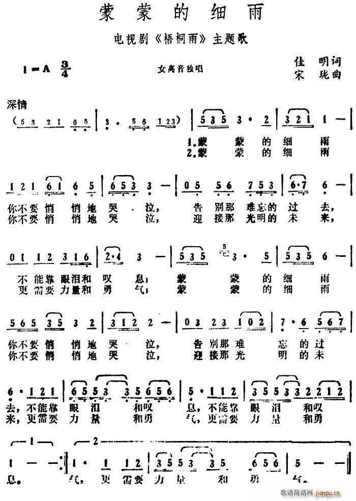 蒙蒙的细雨 电视剧 梧桐雨 主题歌(十字及以上)1