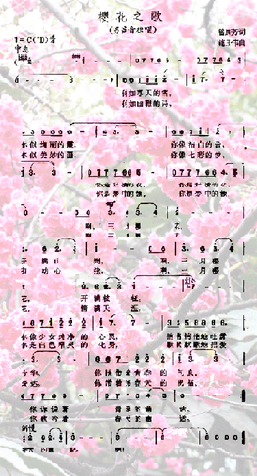 樱花之歌(四字歌谱)1