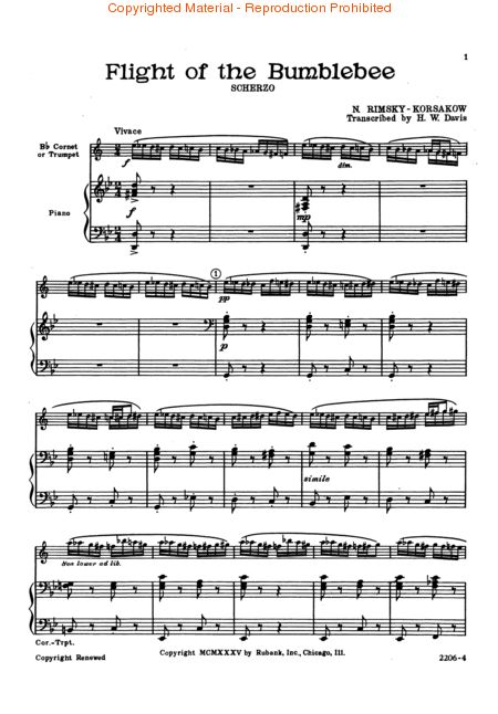 flight(其他乐谱)1