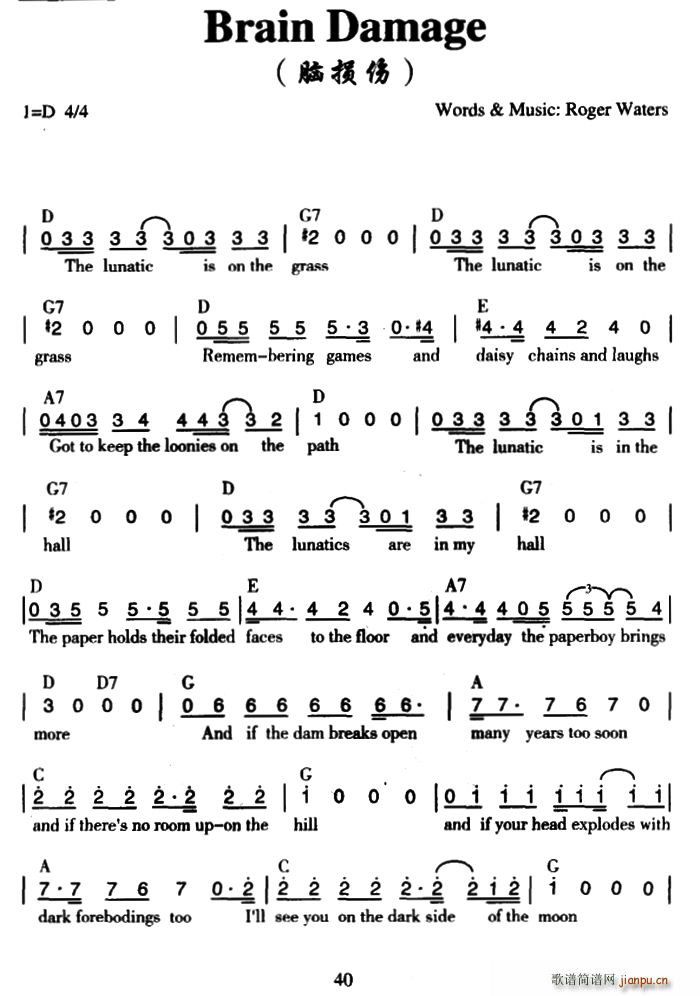 Brain Damage 脑损伤(十字及以上)1