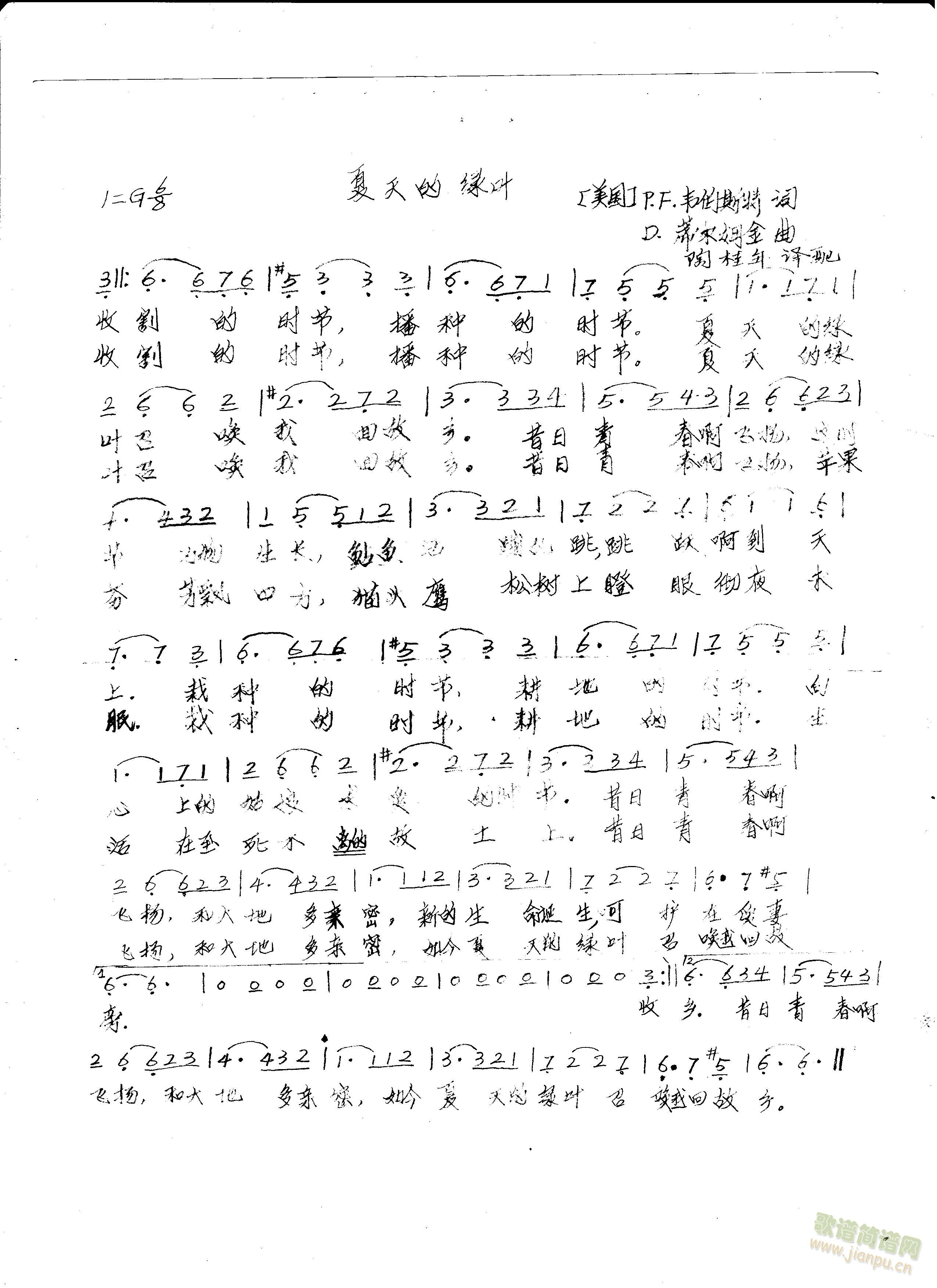 夏天的绿叶(五字歌谱)1