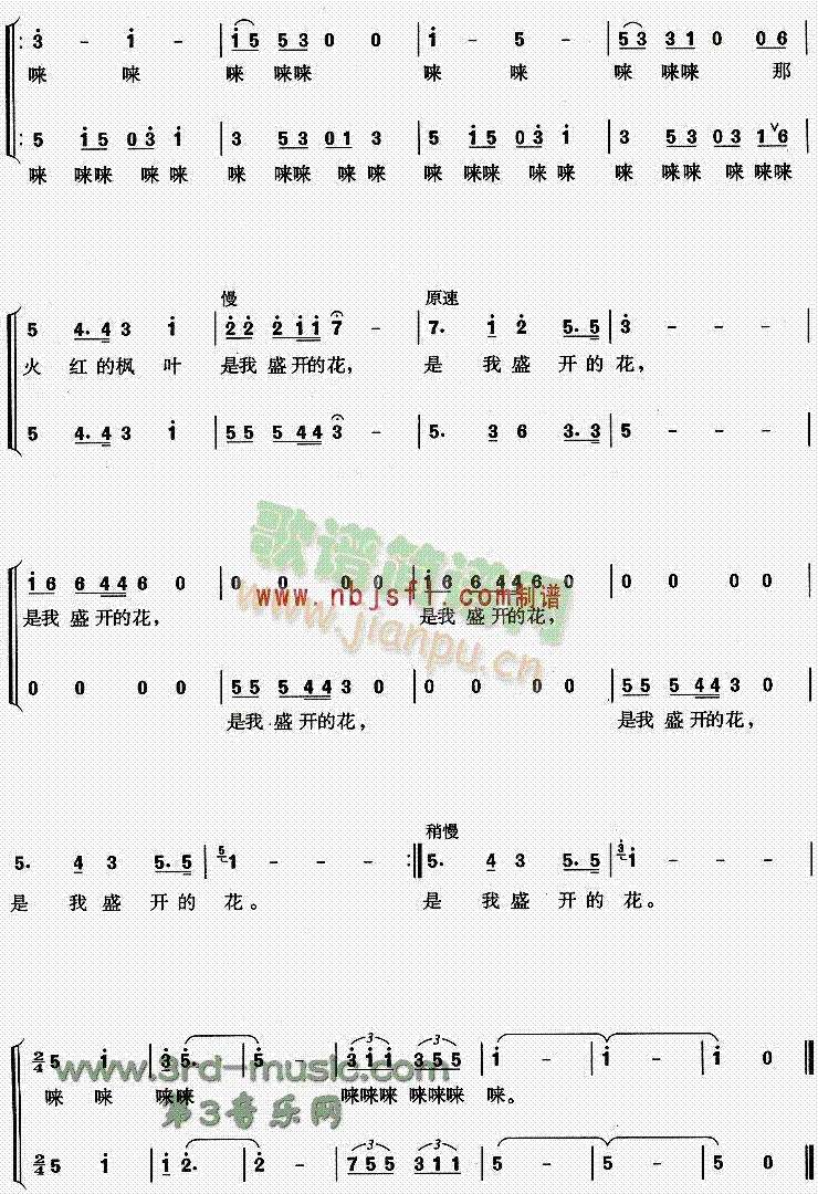 火红的枫叶(五字歌谱)3