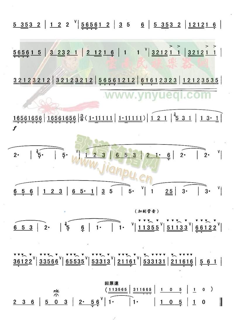 婚恋(葫芦丝谱)3