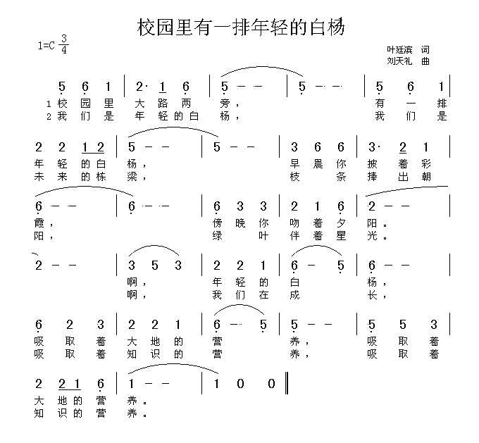 校园里有一排年轻的白杨(十字及以上)1