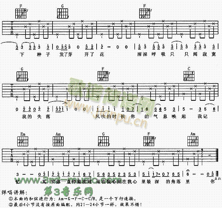 种子(吉他谱)3