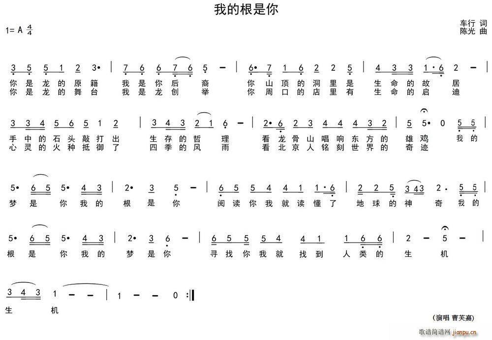 我的根是你(五字歌谱)1