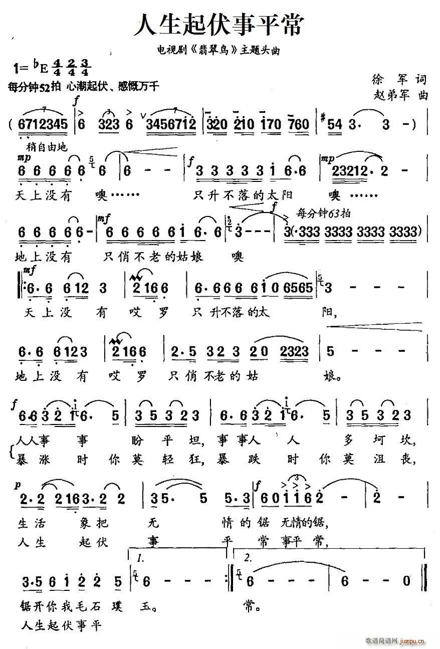 人生起伏事平常 电视剧 翡翠鸟(十字及以上)1