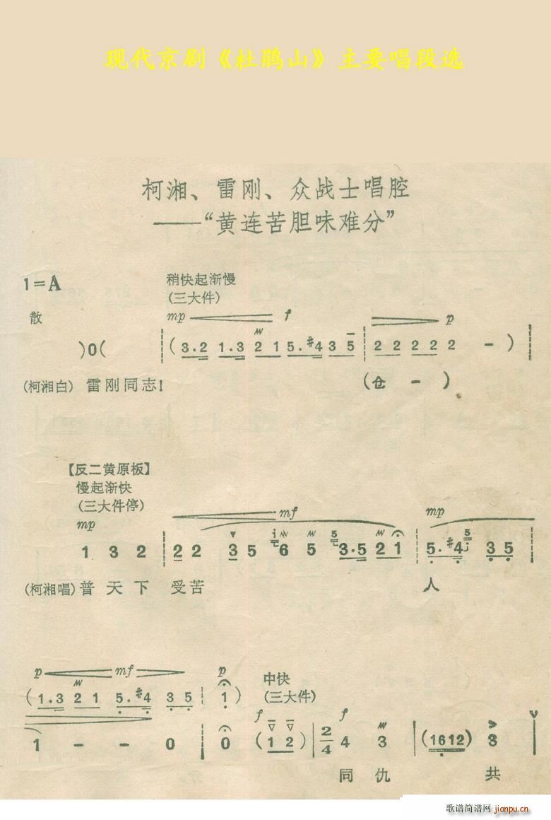 黄连苦胆味难分 杜鹃山(十字及以上)1