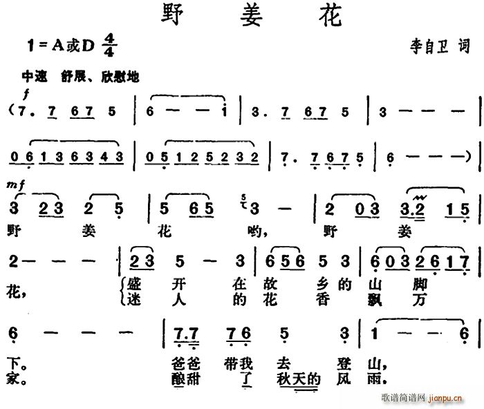 野姜花(三字歌谱)1
