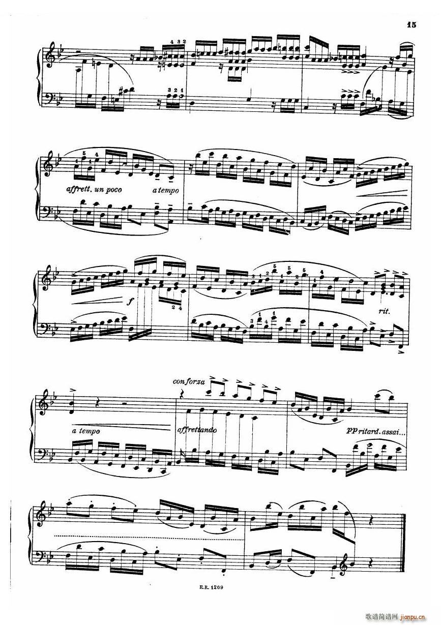 Durante Toccate Toccate(十字及以上)15
