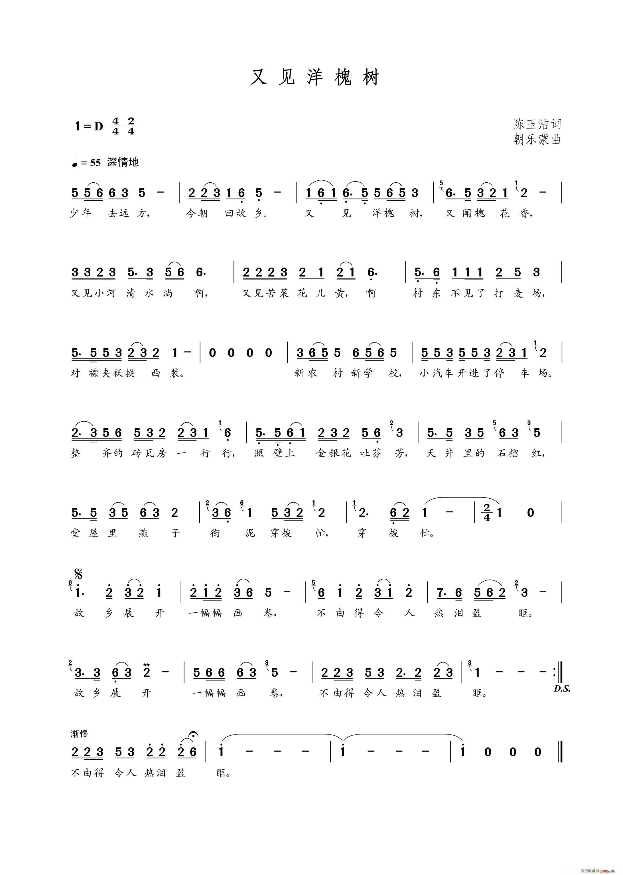 又见洋槐树(五字歌谱)1