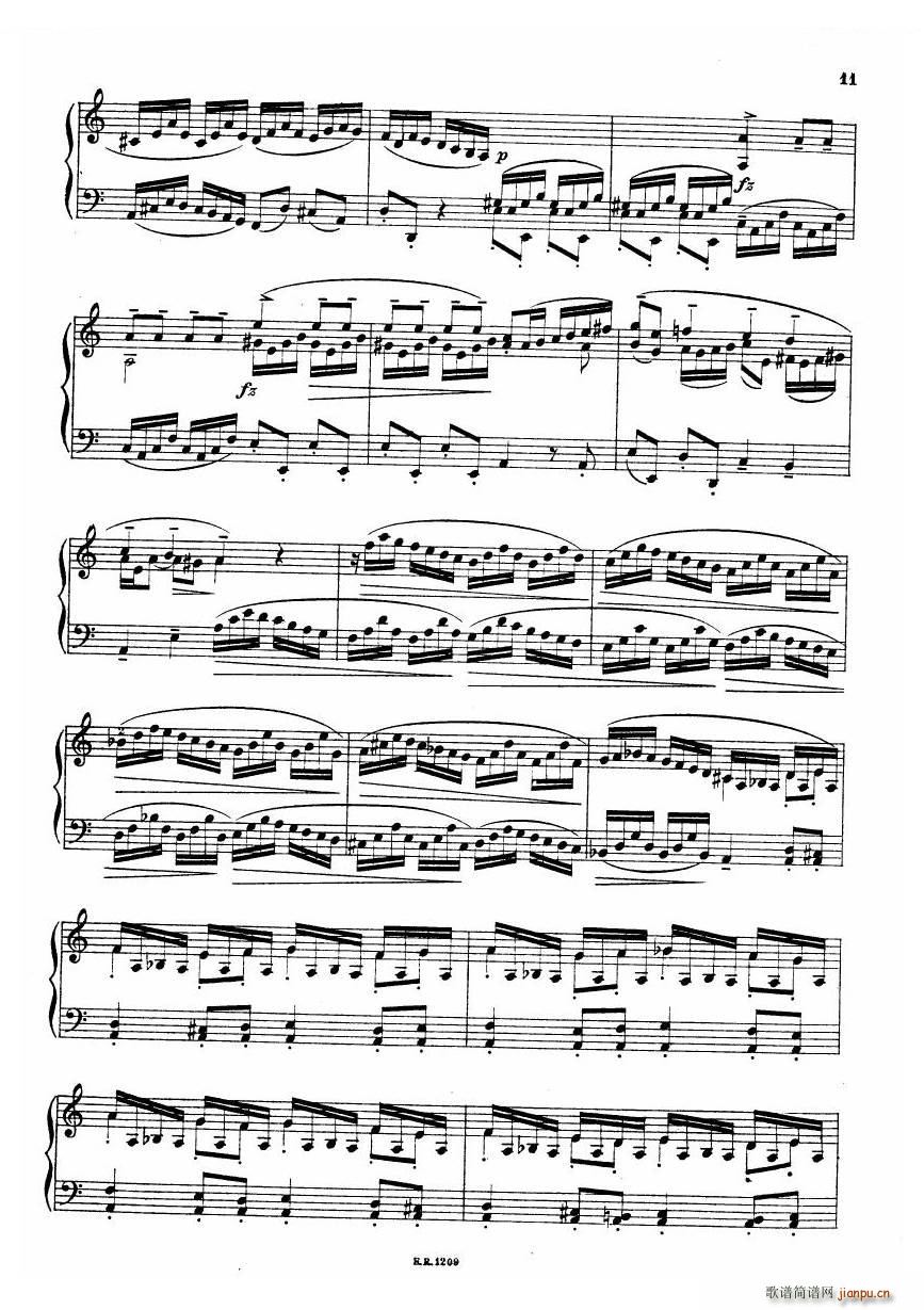 Durante Toccate Toccate(十字及以上)11
