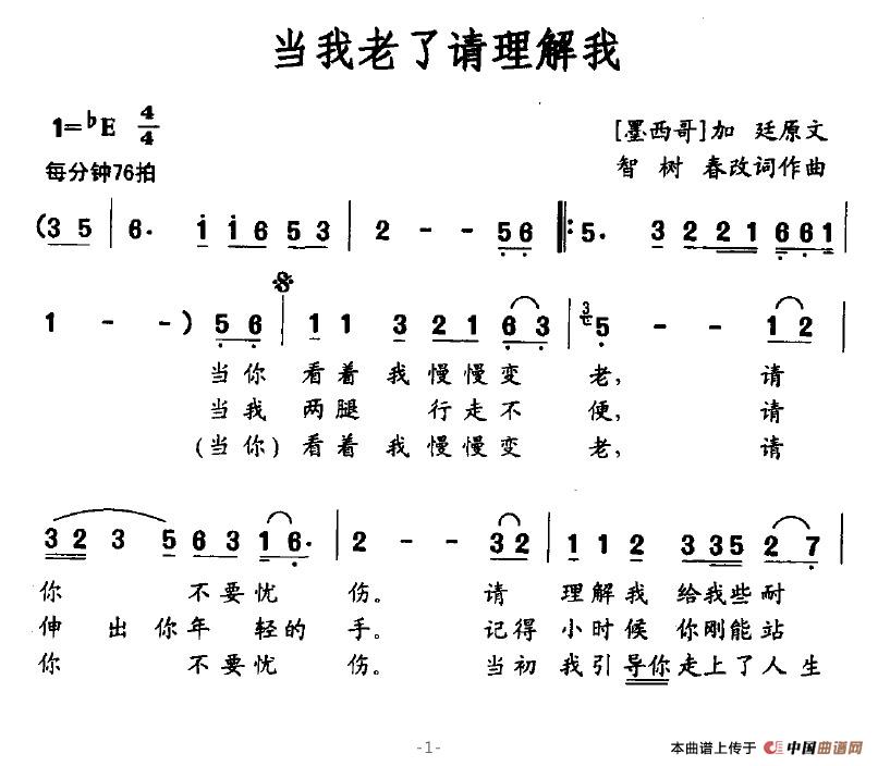 当我老了请理解我(八字歌谱)1