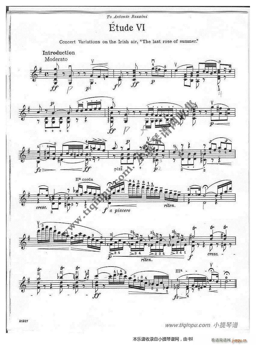 夏日玫瑰(四字歌谱)1