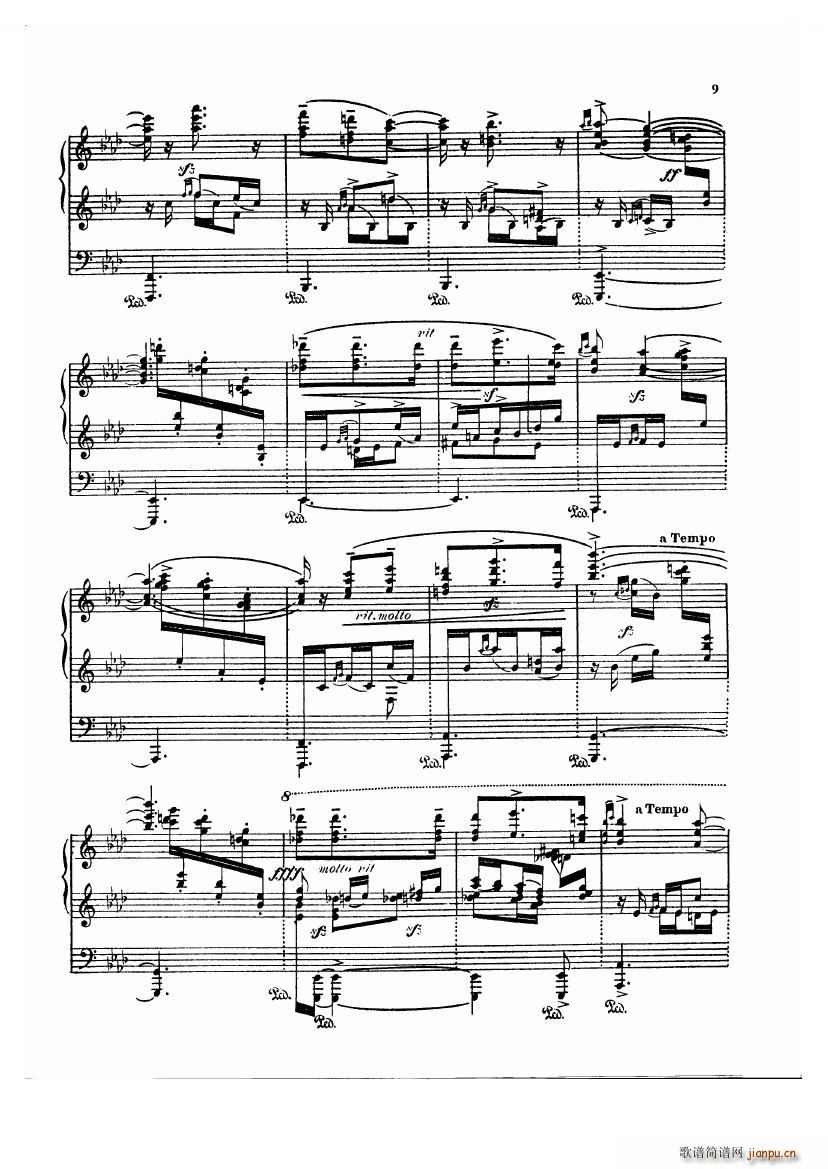 Albeniz Navarra Navarra(十字及以上)9