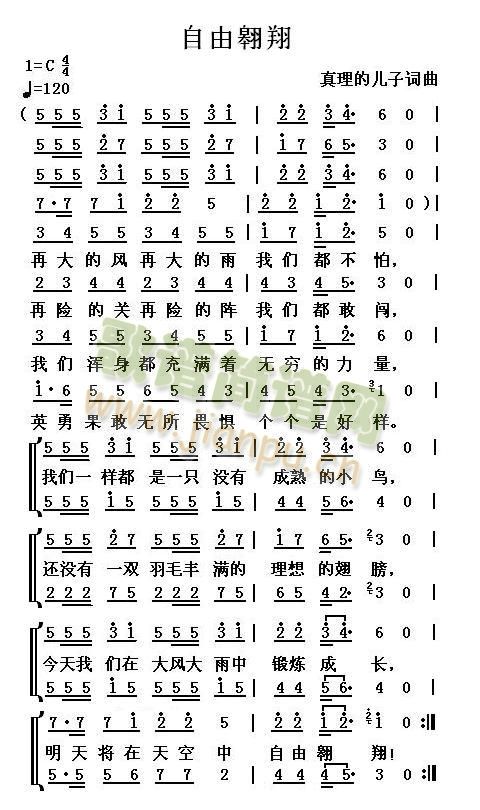 自由翱翔(四字歌谱)1