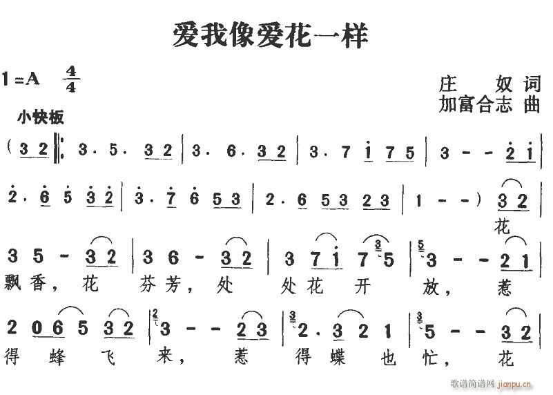 爱玩I像爱花一样(八字歌谱)1