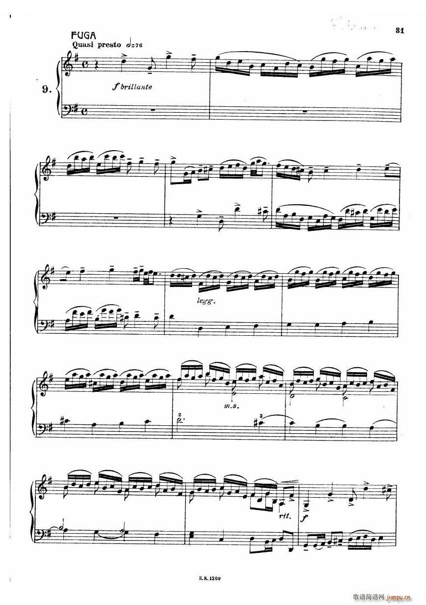 Durante Toccate Toccate(十字及以上)31