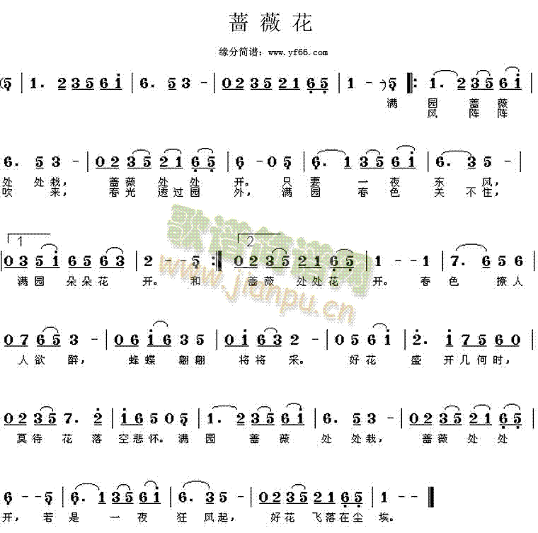 蔷薇花(三字歌谱)1