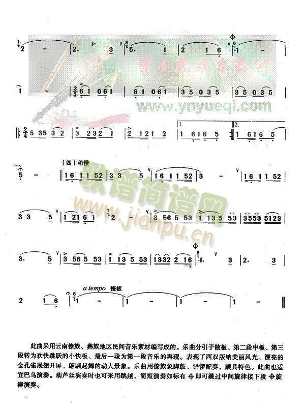 版纳风光(葫芦丝谱)3