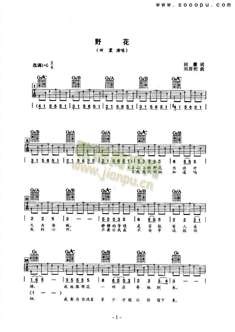 野花吉他类流行(其他乐谱)1