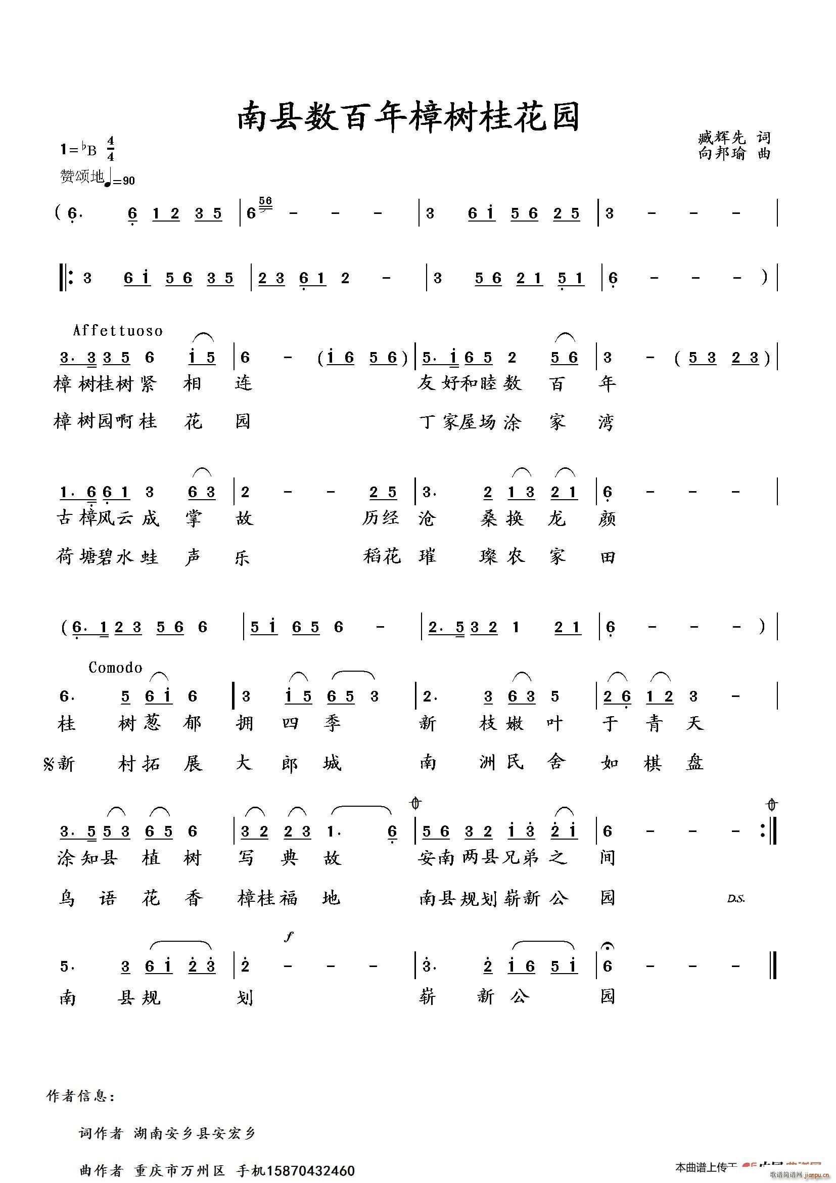 南县数百年樟树桂花园(十字及以上)1