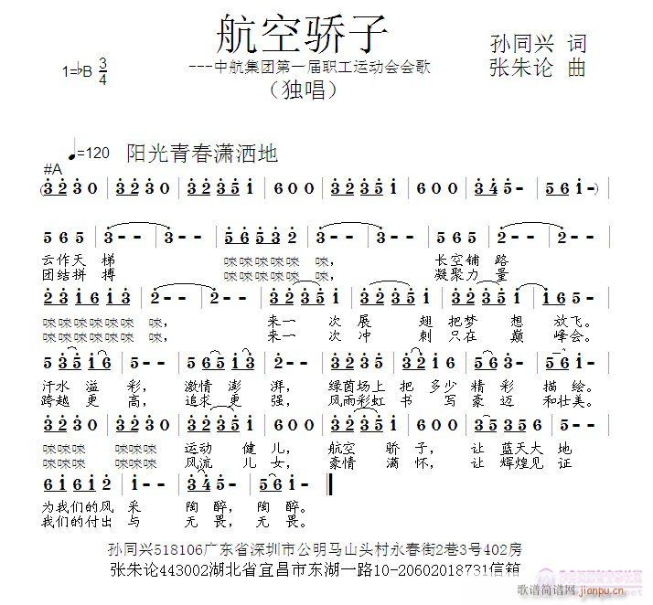 航空骄子(四字歌谱)1