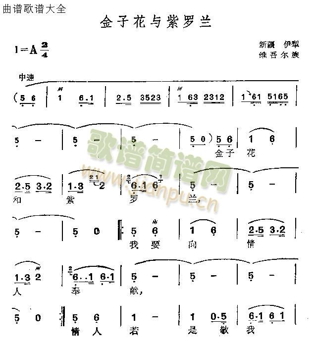 金子花与紫罗兰(七字歌谱)1