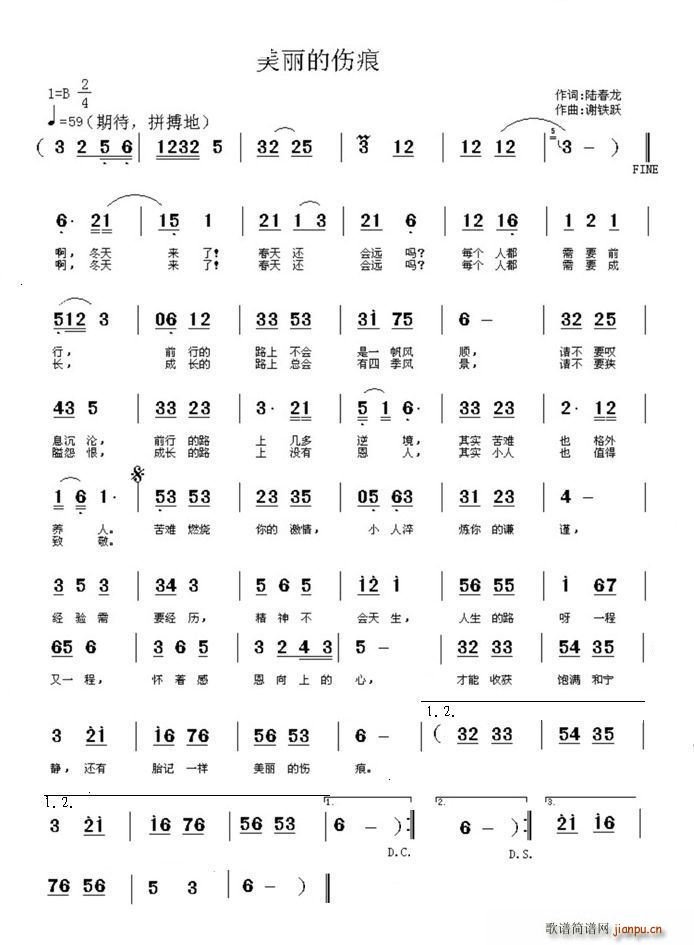 美丽的伤痕(五字歌谱)1