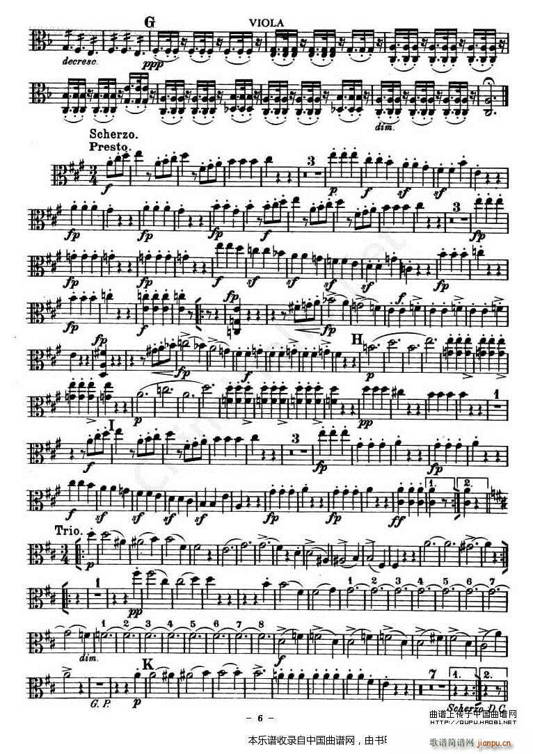 TROUT QUARTET 中(十字及以上)6