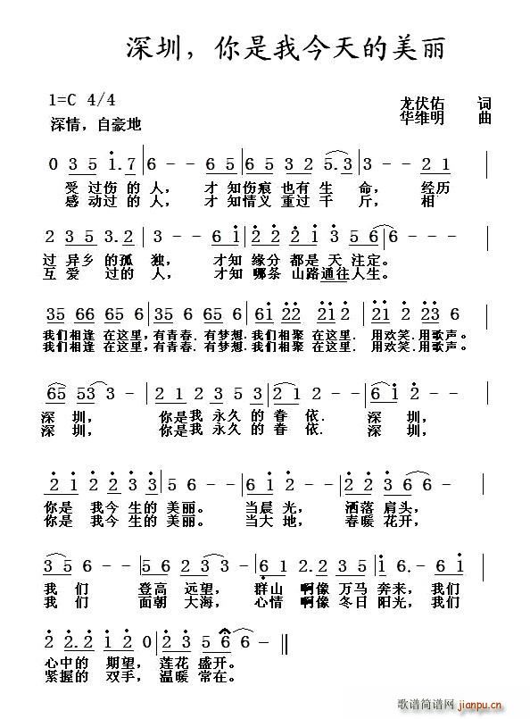 深圳，你是我今天的美丽(十字及以上)1