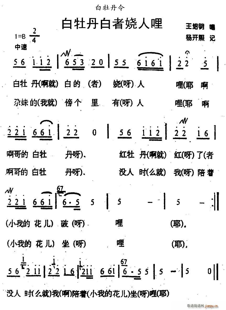 白牡丹白者娆人哩 青海花儿 白牡丹令(十字及以上)1