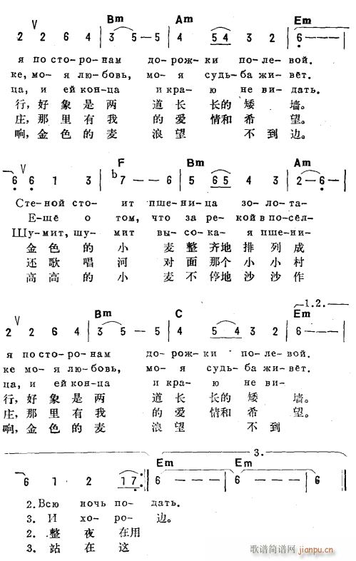 金色的小麦 俄汉双语 2(十字及以上)1