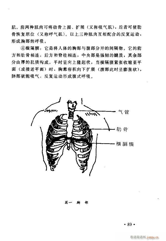 读谱歌唱艺术 唱歌的技巧与方法81 120(十字及以上)9