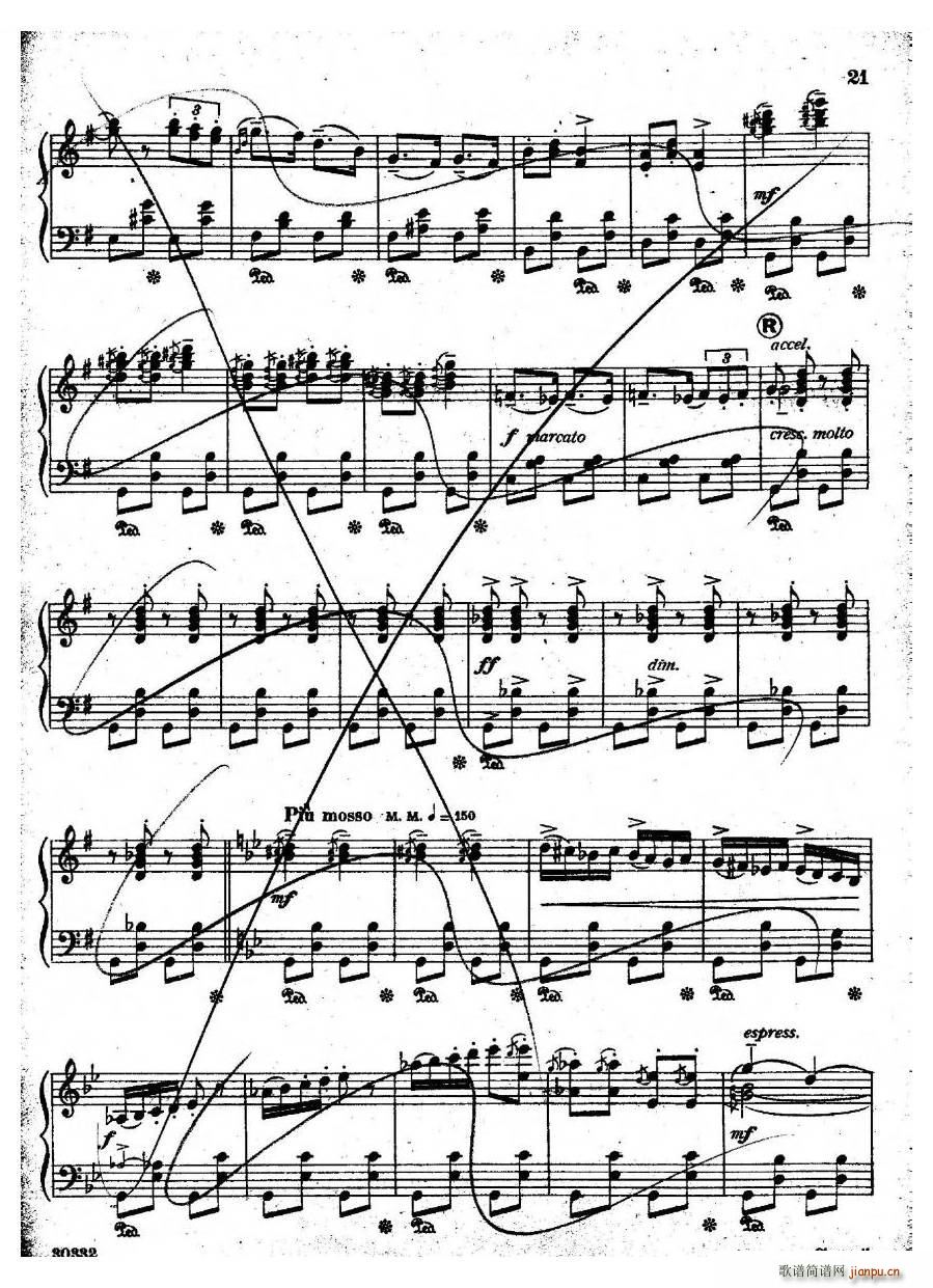 Coates Cinderella 3 Cinderella 3(十字及以上)3