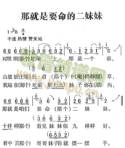 那就是要命的二妹妹(九字歌谱)1