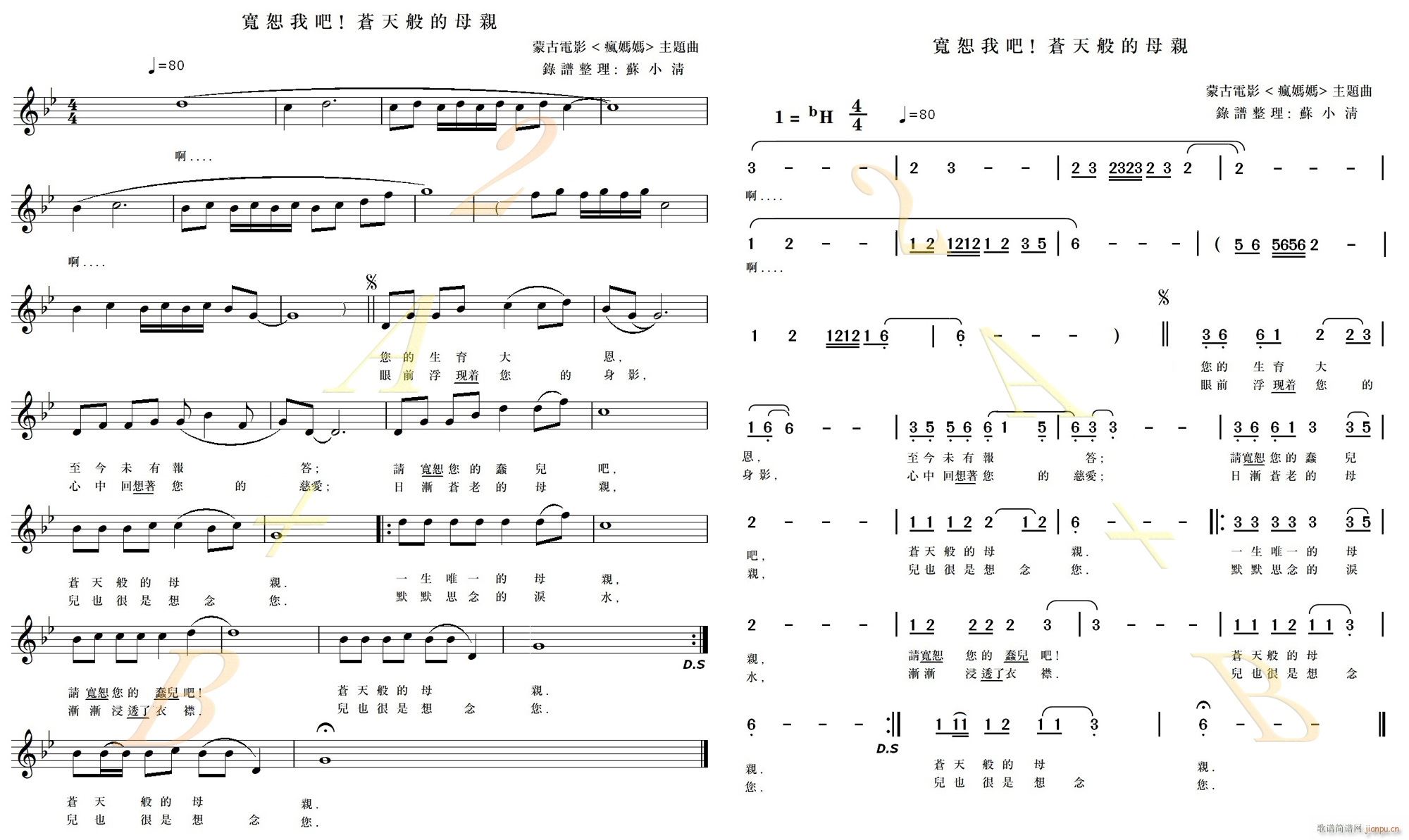 宽恕我吧 苍天般的母亲(十字及以上)1