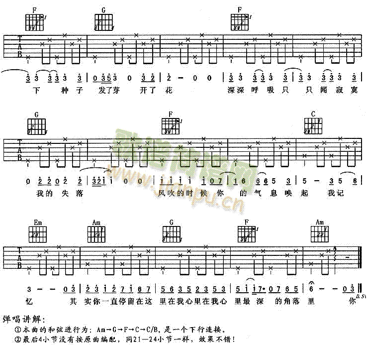 种子(吉他谱)3