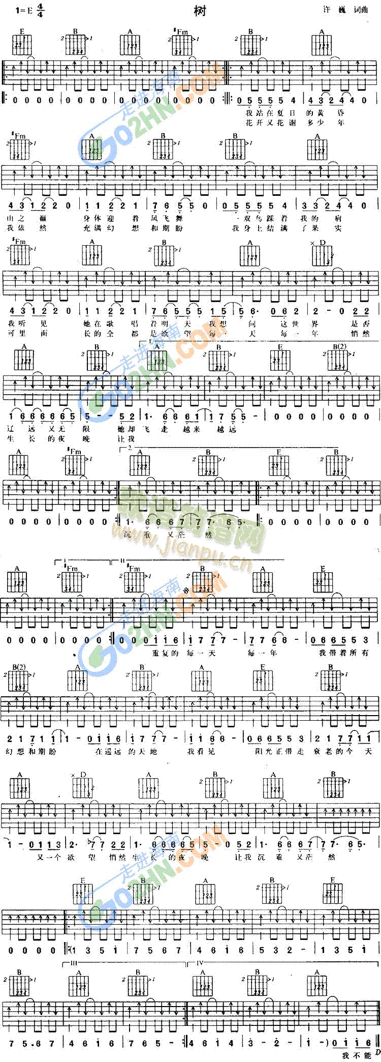 树(吉他谱)1