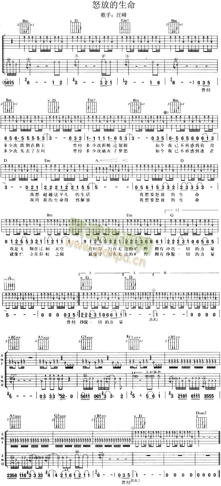 怒放的生命(吉他谱)1