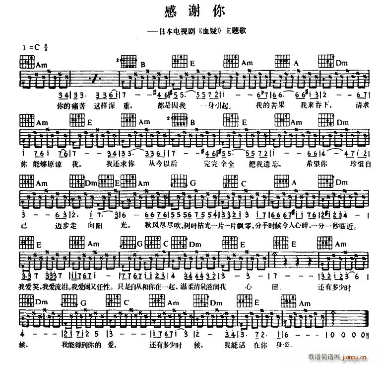 感谢你 日本电视剧 血疑 主题曲(十字及以上)1