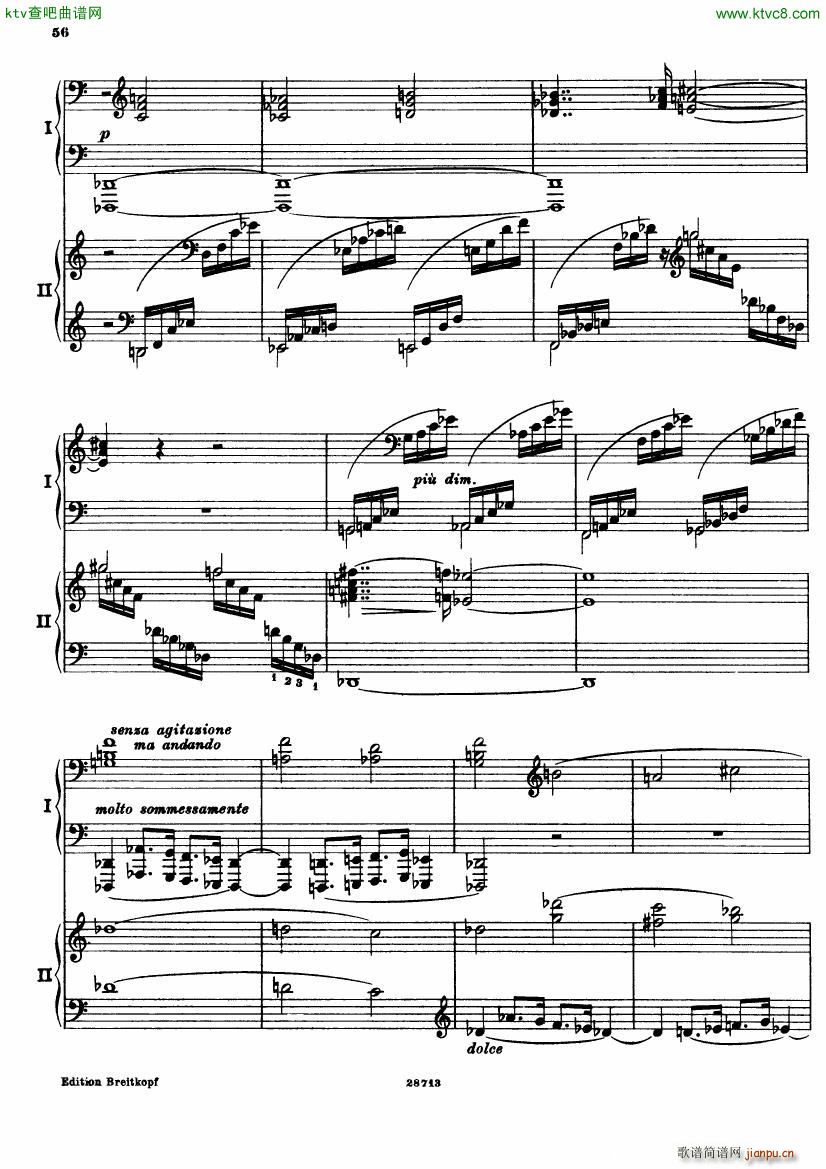 Busoni Fantasia contrappuntistica 2p 2(钢琴谱)22