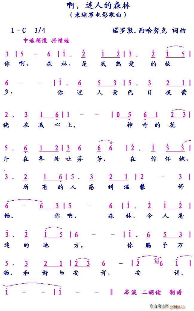 柬埔寨 啊 迷人的森林(十字及以上)1