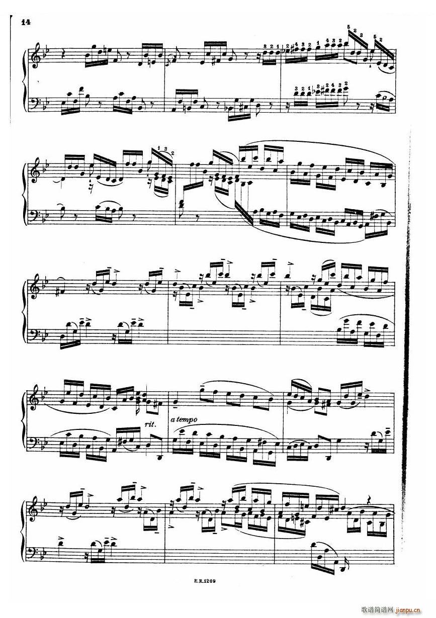 Durante Toccate Toccate(十字及以上)14