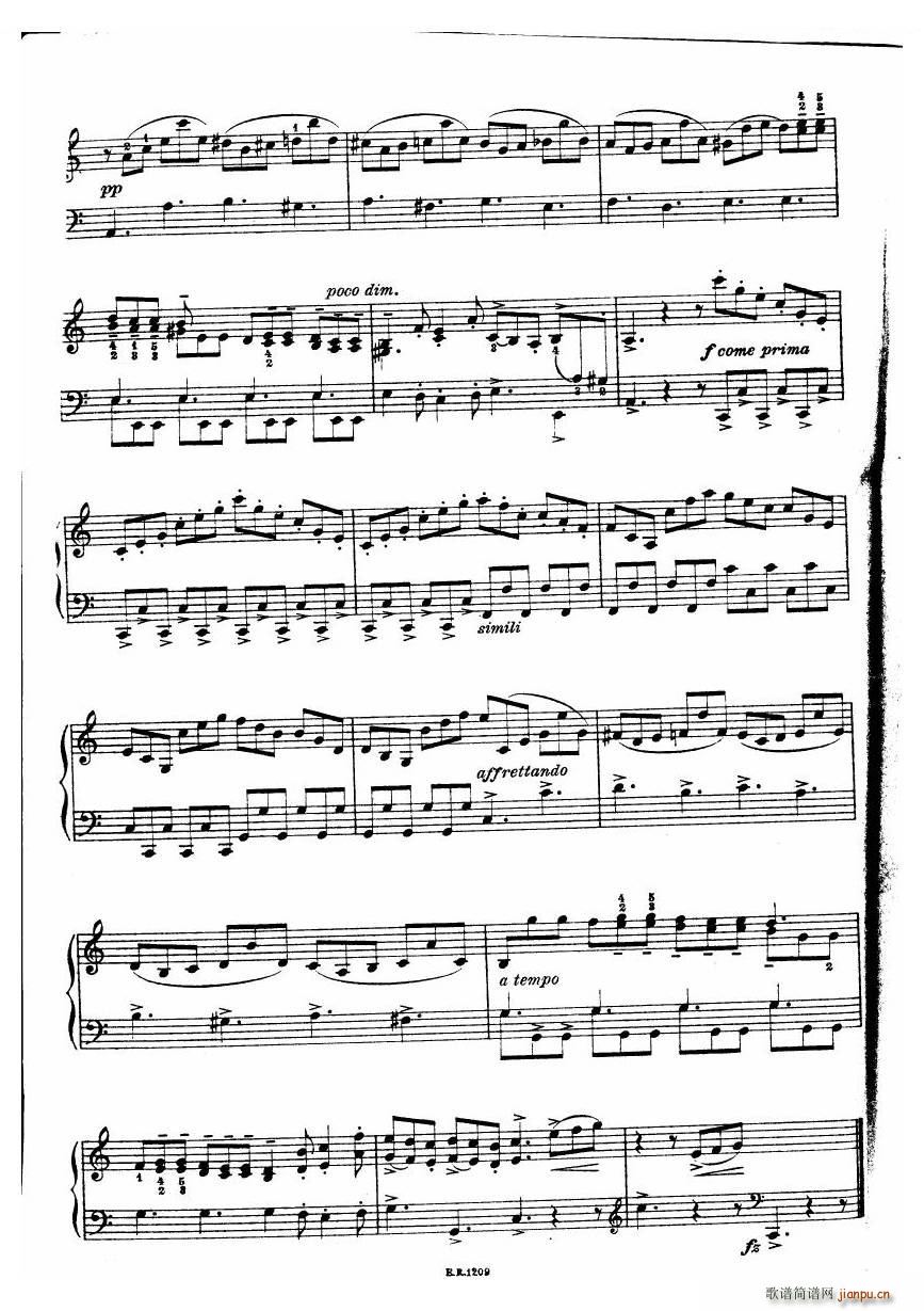 Durante Toccate Toccate(十字及以上)22